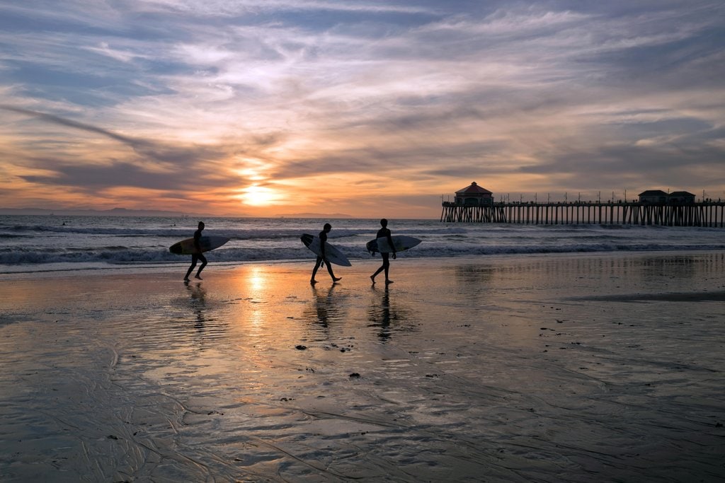 surfer-3812983.jpg?1571392514