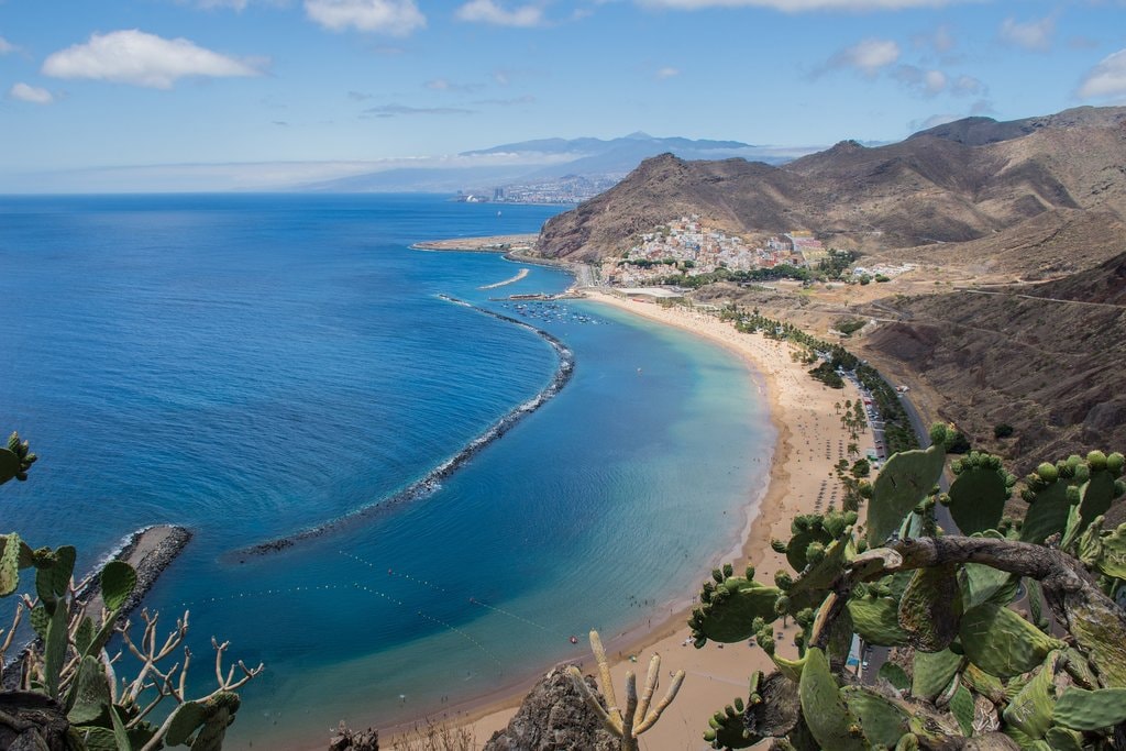 sta-cruz-de-tenerife-2729568_1920.jpg?1571392175
