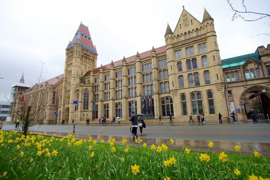 Imagebox_-_Manchester_Museum-125.jpg?1548997400