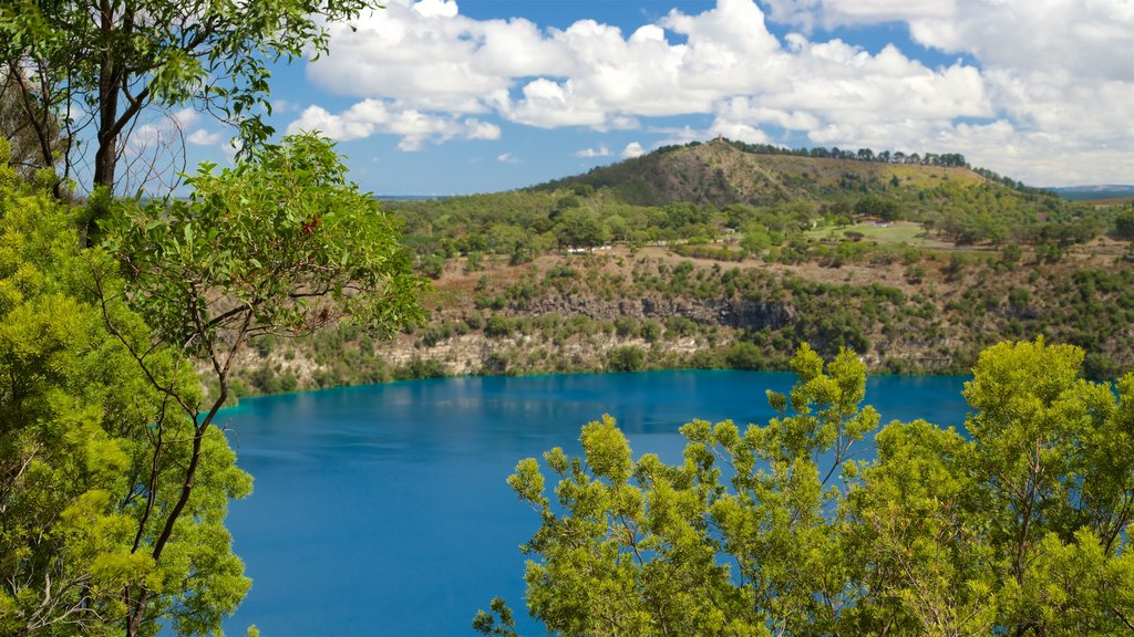 Blue Lake-reservatet som viser fredfyldte omgivelser og en sø eller et vandhul