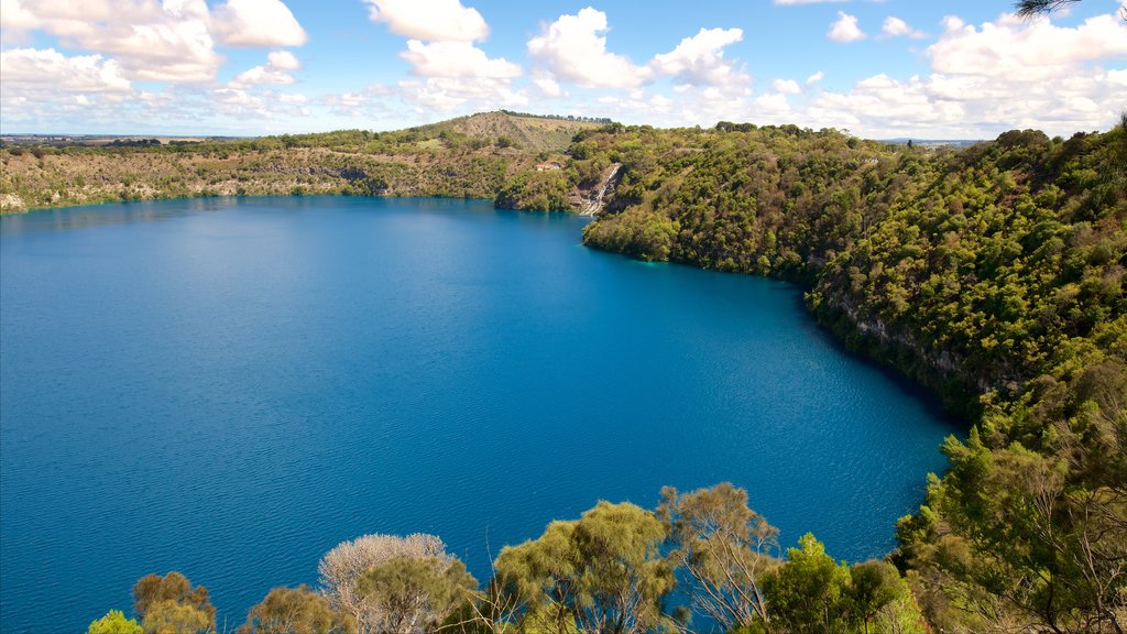 Cagar Alam Danau Biru menunjukkan suasana damai dan danau