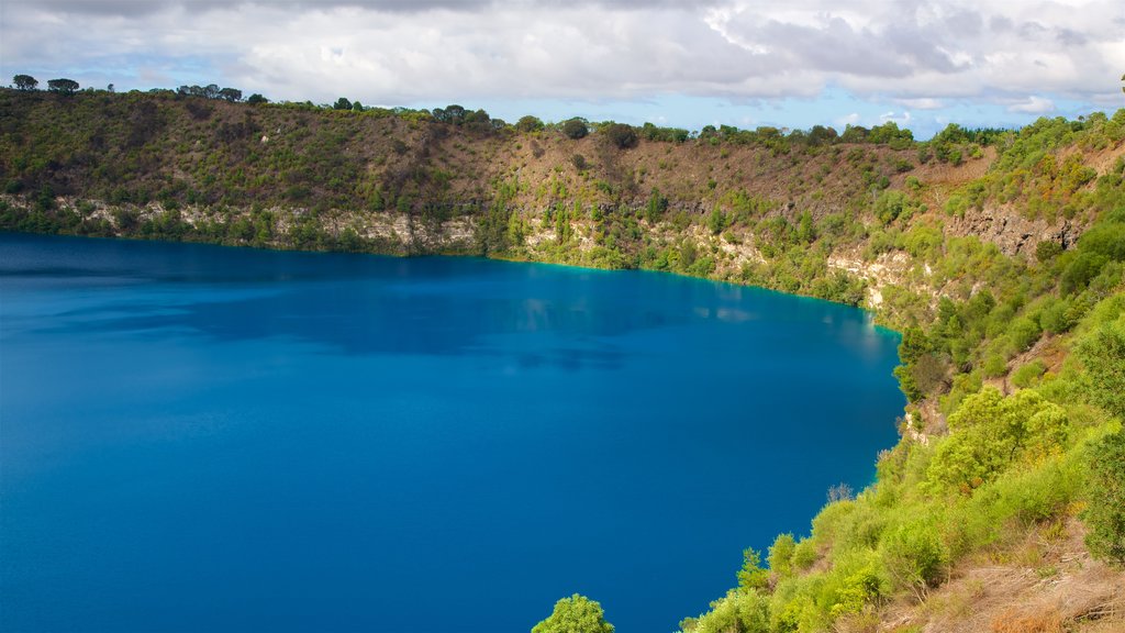 Blue Lake Reserve showing a lake or waterhole and tranquil scenes