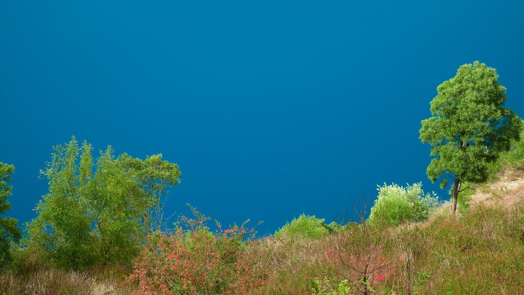 Blue Lake Reserve featuring a lake or waterhole