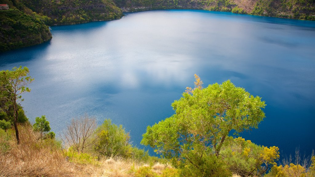 Blue Lake-reservatet som viser en sø eller et vandhul