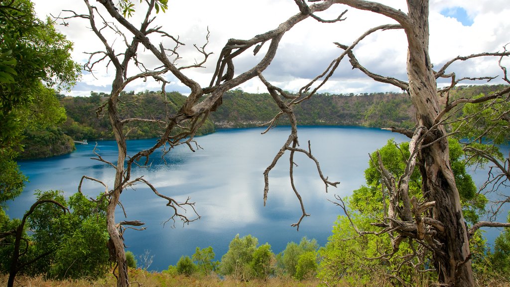 Blue Lake-reservatet som viser en sø eller et vandhul