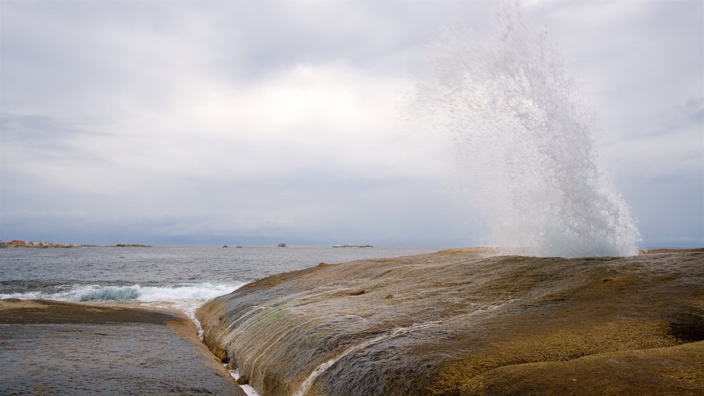 Bicheno which includes general coastal views and rugged coastline