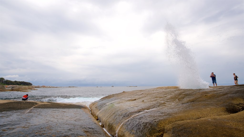 Bicheno showing general coastal views and rocky coastline as well as a small group of people