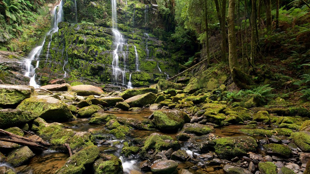 Queenstown caracterizando floresta tropical e uma cascata