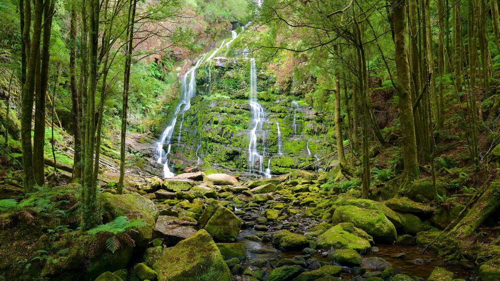 Queenstown que inclui floresta tropical e uma cachoeira