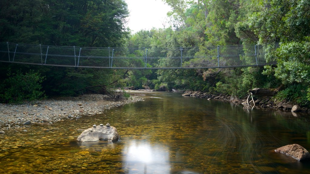 Queenstown which includes a suspension bridge or treetop walkway, a river or creek and forest scenes