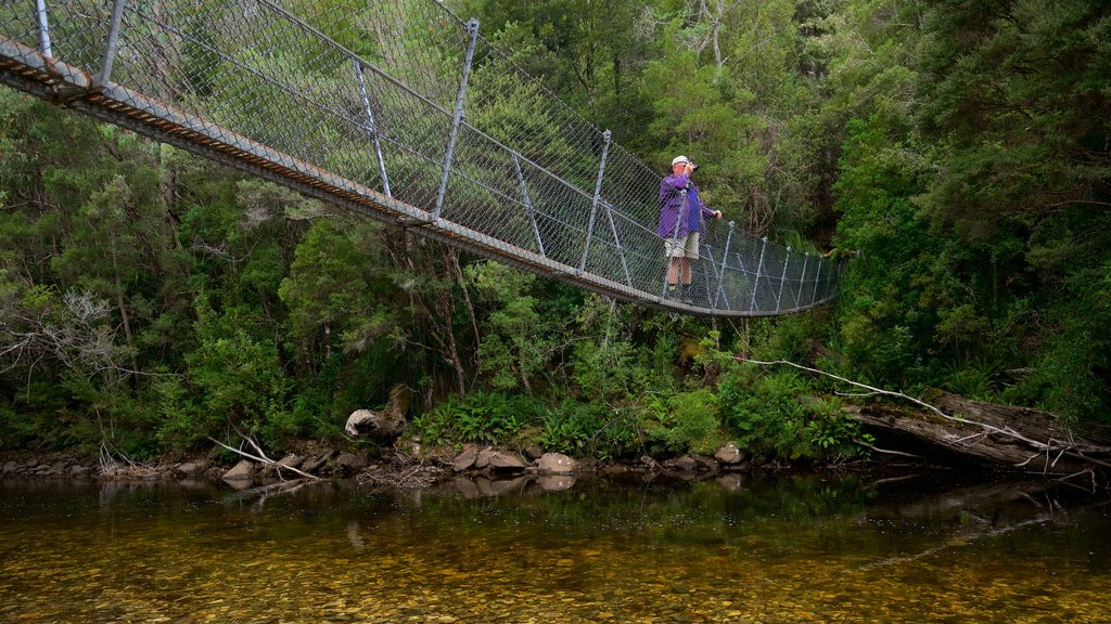 Queenstown which includes a suspension bridge or treetop walkway, a river or creek and forest scenes