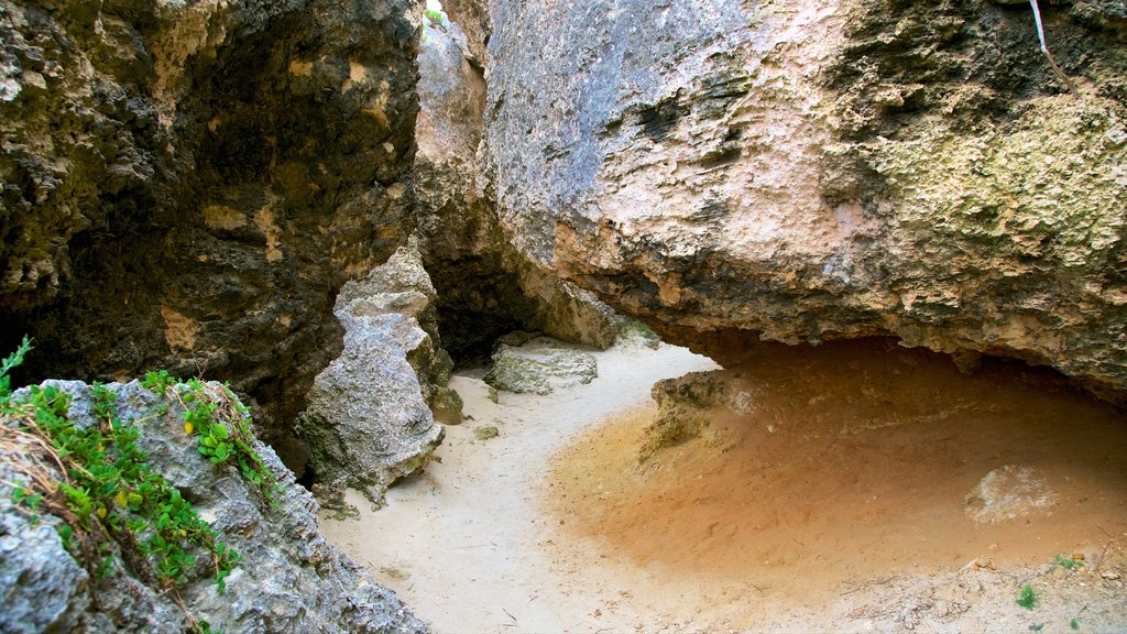 Kangaroo Island showing a sandy beach and rugged coastline