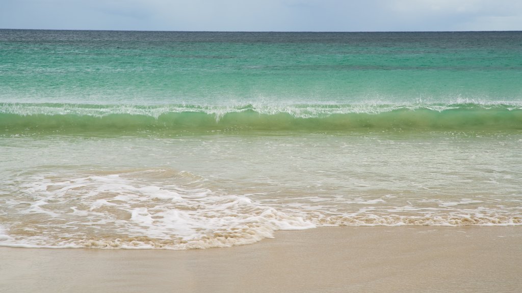 Kangaroo Island which includes a sandy beach, waves and a bay or harbor