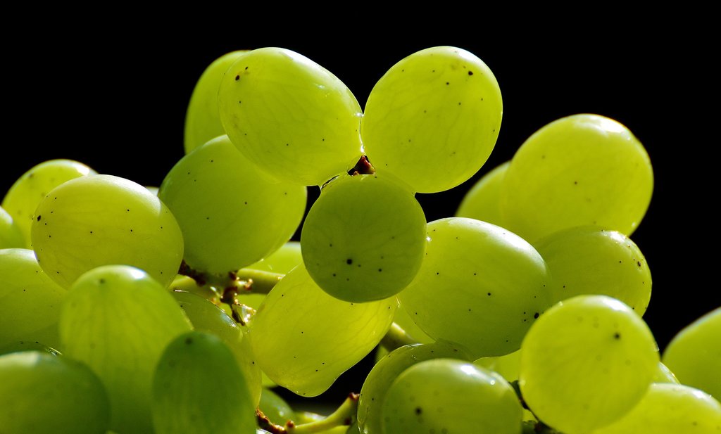 Uvas.jpg?1571847502