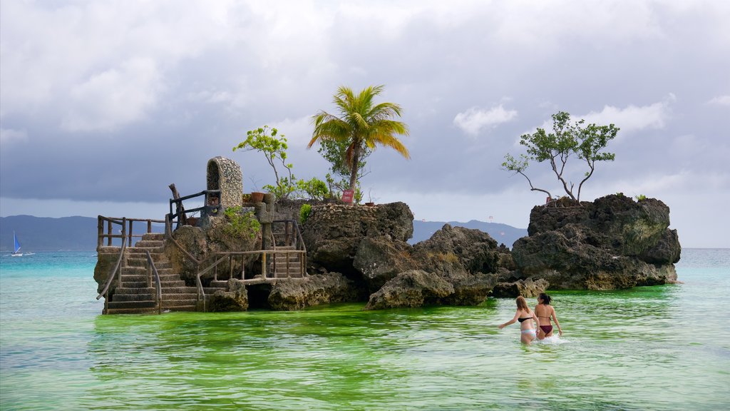 Roca de Willy que incluye escenas tropicales, imágenes de una isla y natación