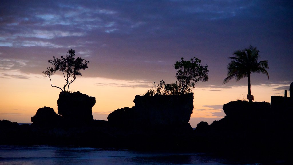 Roca de Willy mostrando una puesta de sol, escenas nocturnas y escenas tropicales