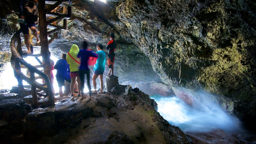 Isla de Crystal Cove que incluye cuevas y también un pequeño grupo de personas