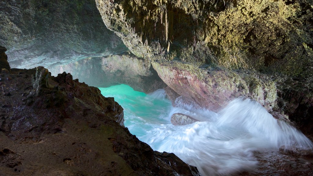 Crystal Cove Island featuring waves, caves and a gorge or canyon