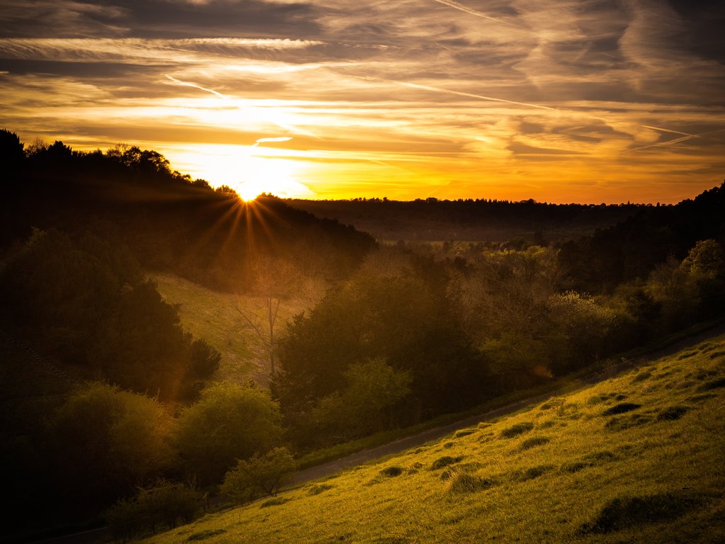 Sunset-in-Surrey-Countryside.jpg?1573029843