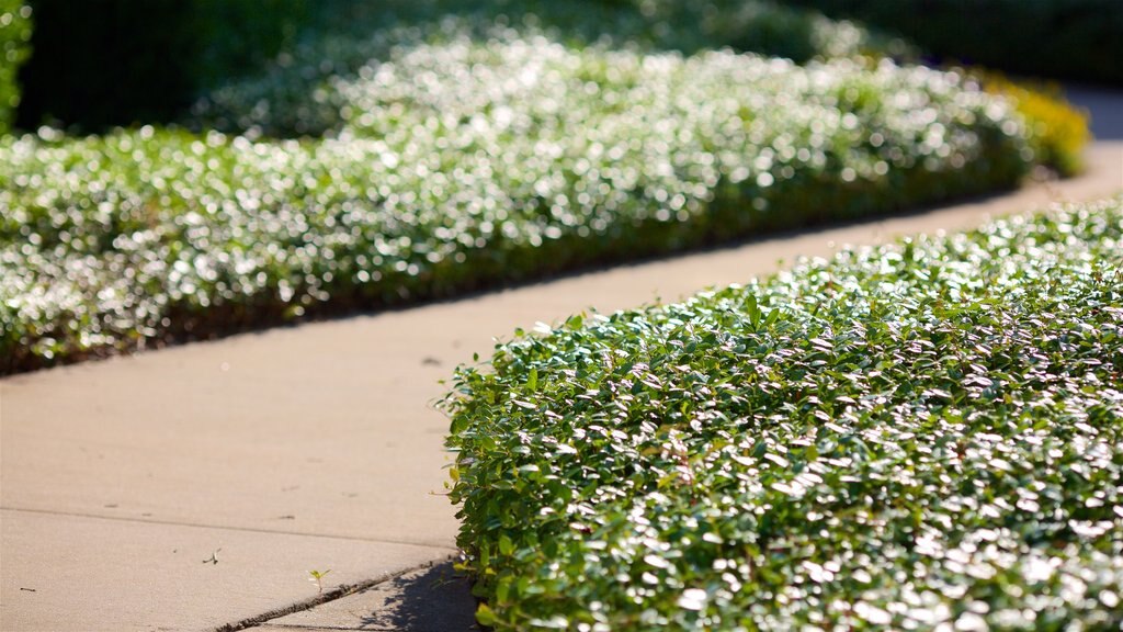 Bay Minette mostrando un parque y flores