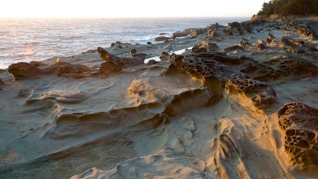 Shore Acres State Park showing a bay or harbor, a sunset and rugged coastline