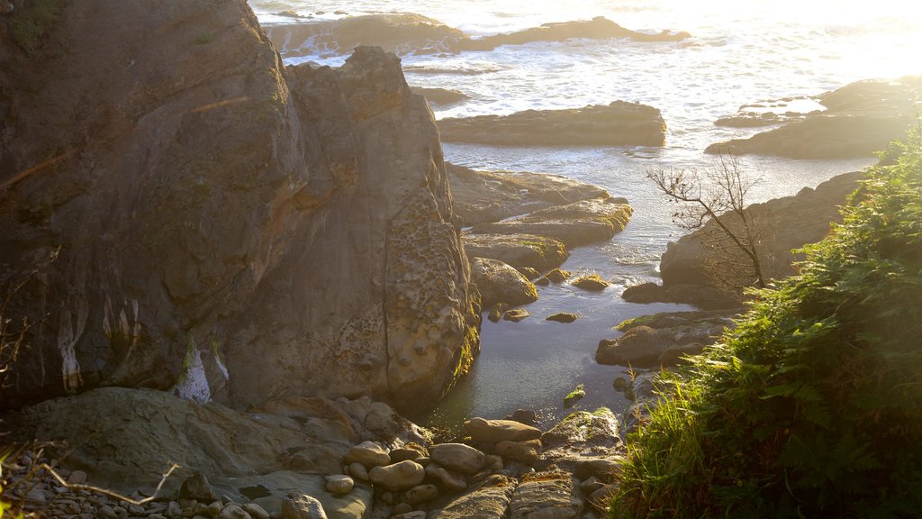 Shore Acres State Park featuring rugged coastline, a sunset and a bay or harbour