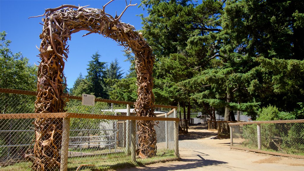 West Coast Game Park Safari showing a garden