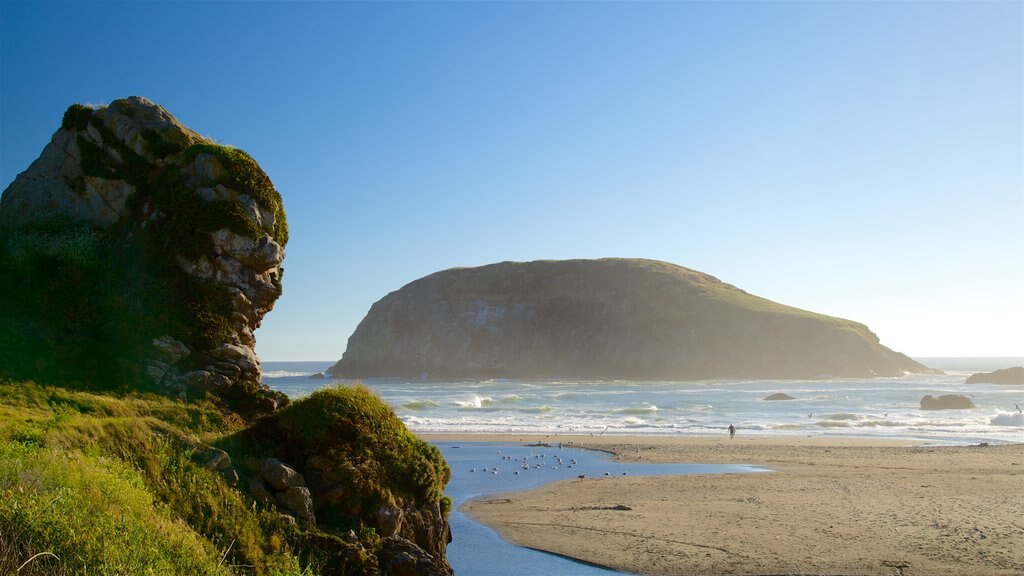 Harris Beach State Park featuring island images, a beach and rocky coastline