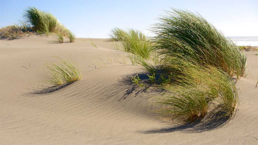 Gold Beach welches beinhaltet Sandstrand und allgemeine Küstenansicht