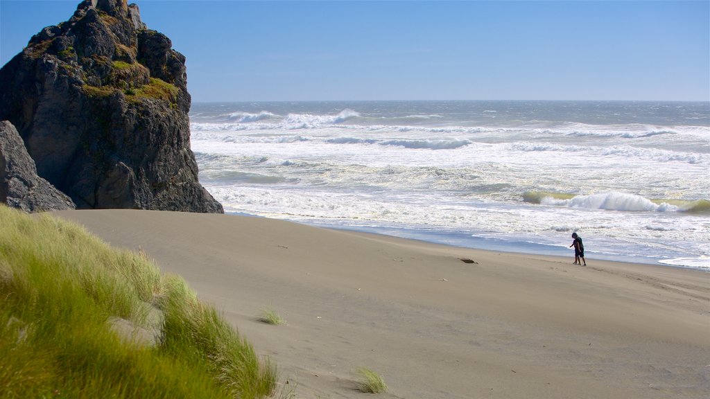 Gold Beach showing rugged coastline, surf and a beach