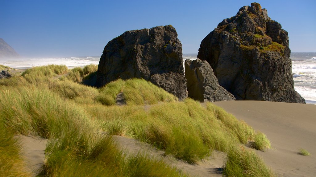 Gold Beach som viser en sandstrand og barsk kystlinje