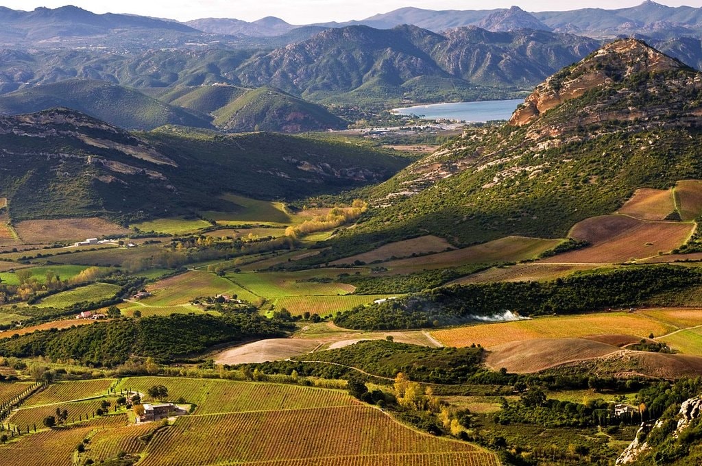 1280px-Vignoble_de_l'AOC_Patrimonio_pre%CC%80s_de_Saint-Florent.jpg?1574607034