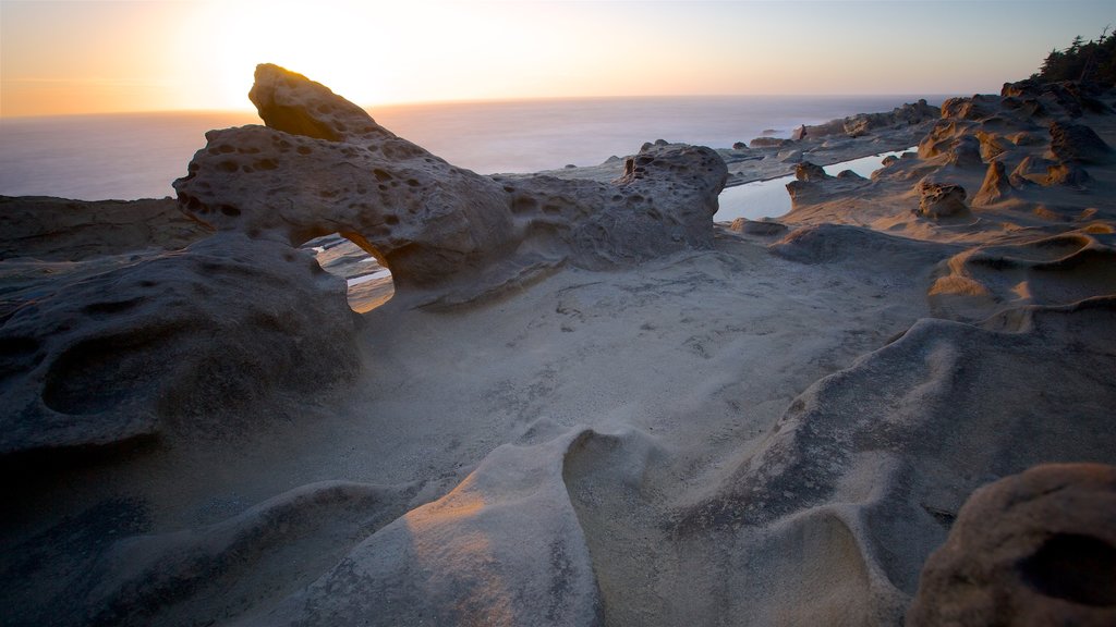 Shore Acres State Park showing rocky coastline and a sunset