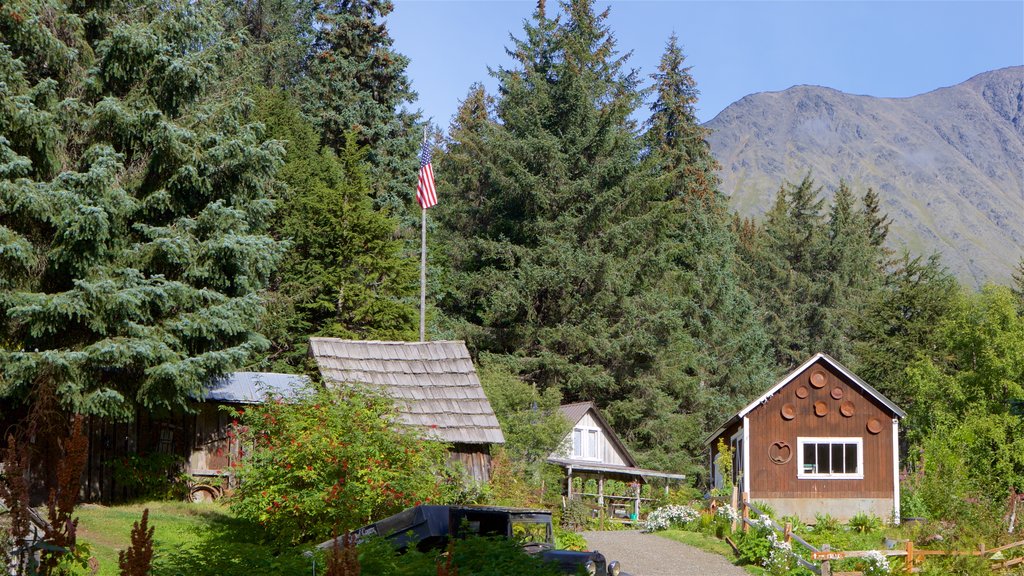 Crow Creek Mine which includes tranquil scenes and a house