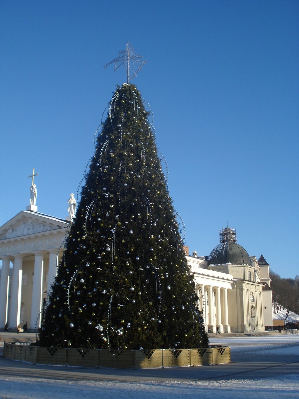 Vilnius_Christmas_tree_2008_by_day.jpg?1575385728