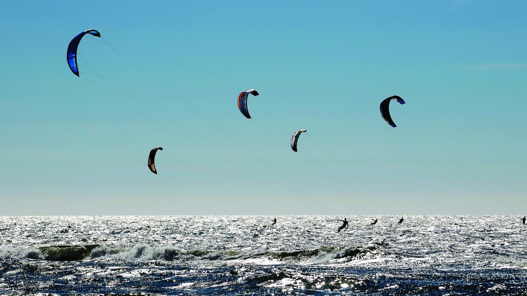 Zandvoort que incluye kite surf y vista general a la costa