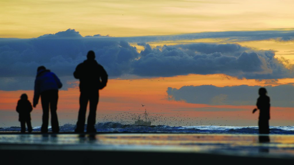 Zandvoort mostrando um pôr do sol assim como um pequeno grupo de pessoas