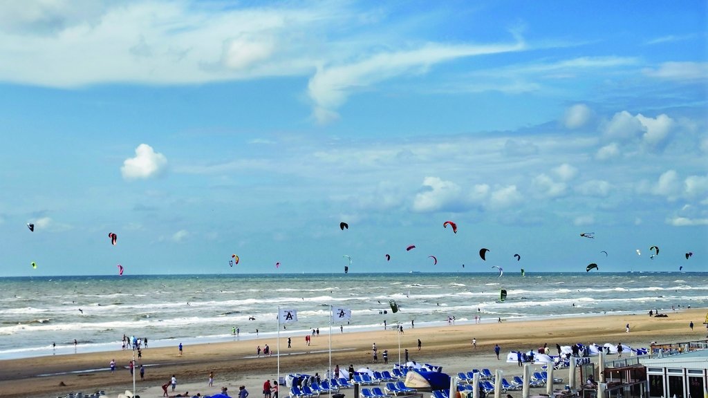 Zandvoort og byder på en sandstrand og udsigt over landskaber