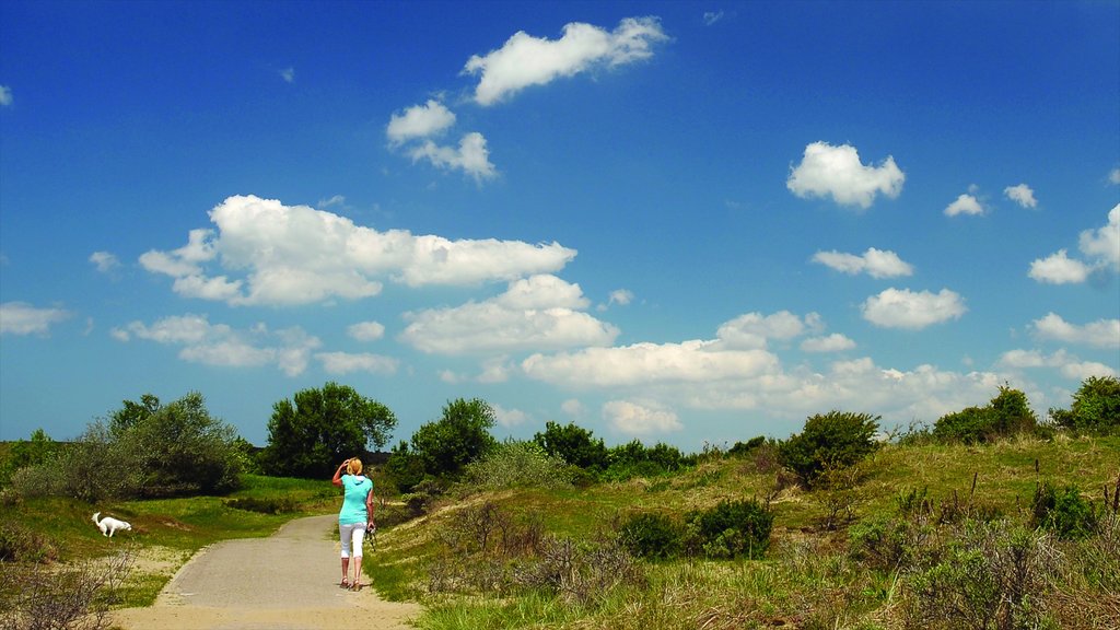 Zandvoort which includes tranquil scenes and hiking or walking