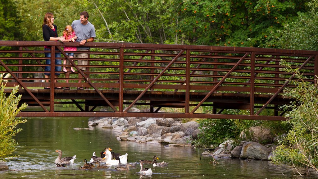 Kalispell showing a park as well as a family