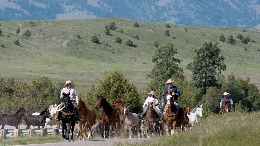 Kalispell mostrando cavalgada