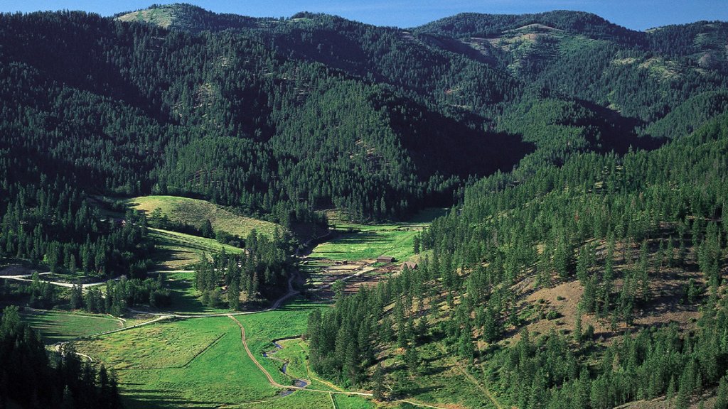 Northern Idaho which includes tranquil scenes