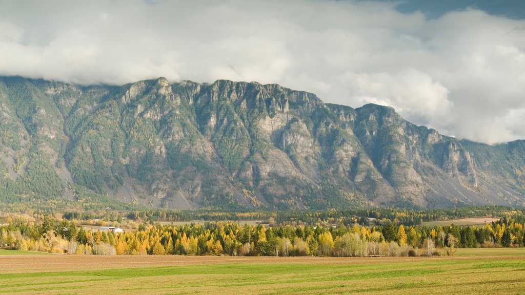 Bonners Ferry bevat vredige uitzichten