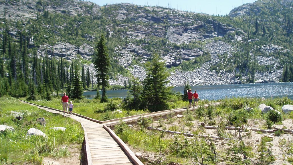 Bonners Ferry showing hiking or walking