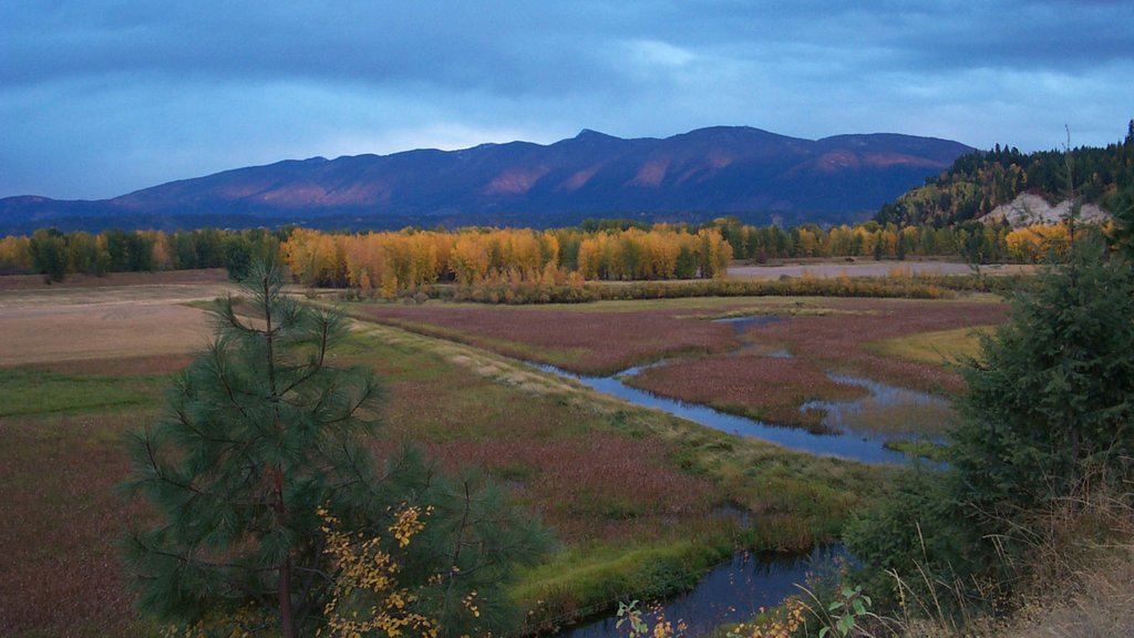 Bonners Ferry showing tranquil scenes