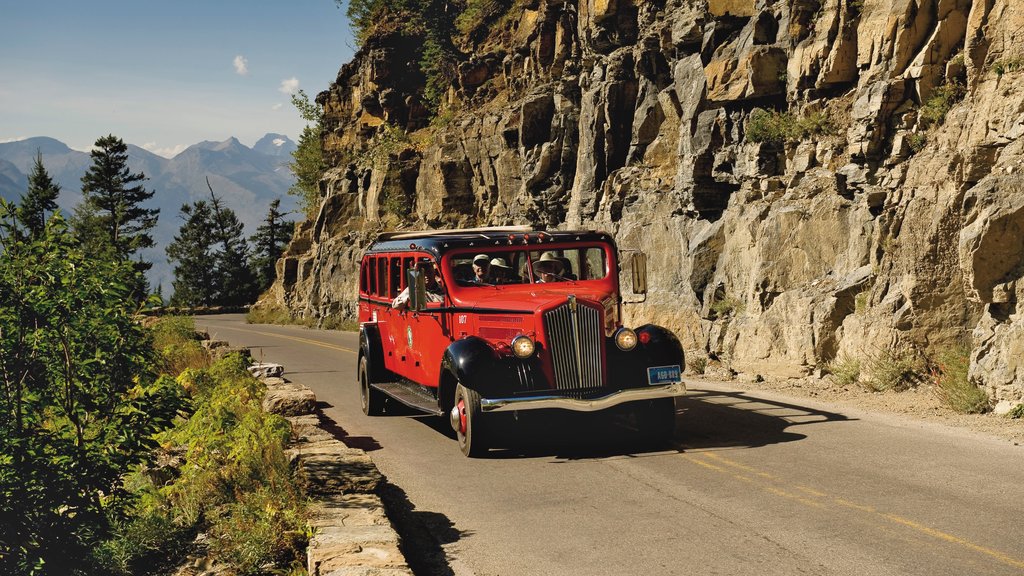 Glacier National Park showing vehicle touring