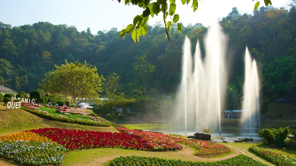 Queen Sirikit Botanical Garden which includes a garden, flowers and a fountain