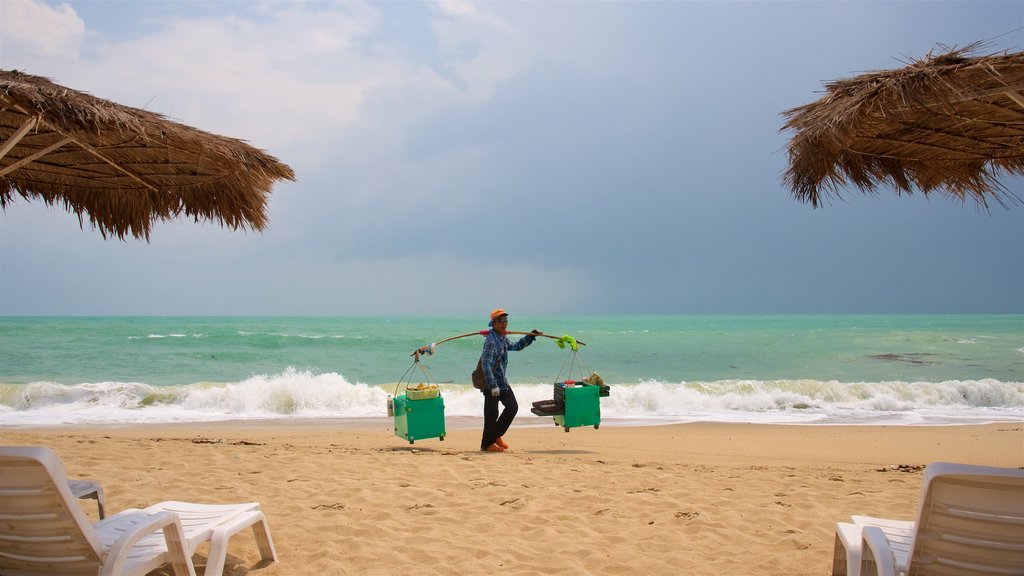 Plage de Lamai mettant en vedette vues littorales, scènes tropicales et plage de sable