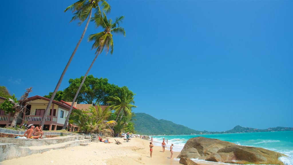 Plage de Lamai qui includes plage de sable, vues littorales et scènes tropicales