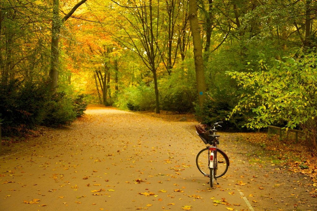 berlin_tiergarten.jpg?1575995951